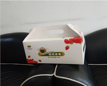 草莓禮盒紙箱